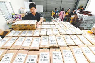 雙十一碭山縣 互聯網助力水果銷售，助農增收熱火朝天